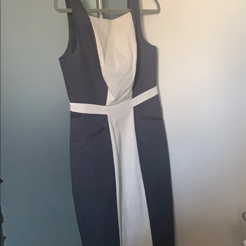 Club Monaco dress